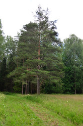 Similar image 21537699