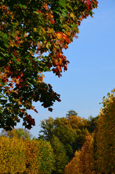 Similar image 21537701