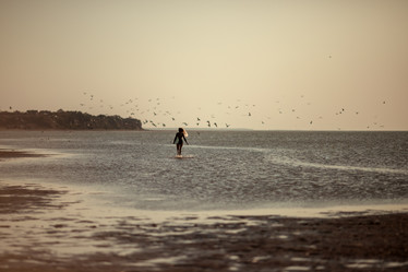 Similar image 21537704