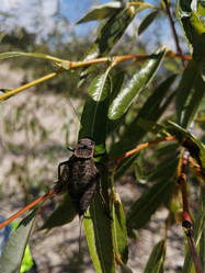 Similar image 21537836