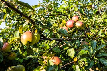 Similar image 21537376