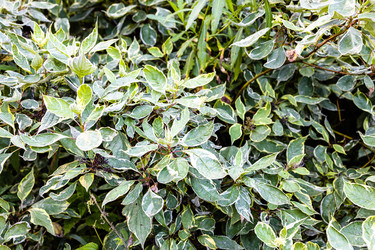 Similar image 21537377