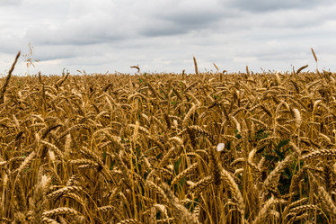 Similar image 21537849