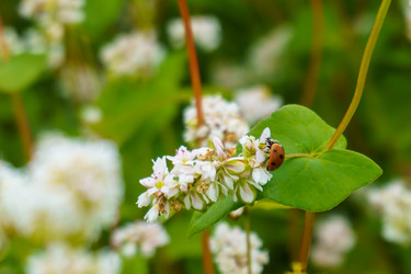 Similar image 21537853