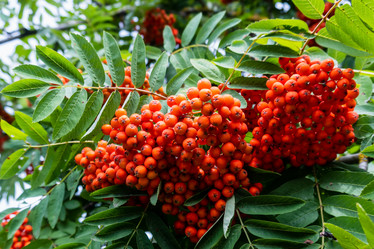 Similar image 21537854