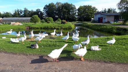 Similar image 21537856