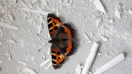 Similar image 21537857