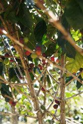 Similar image 21537861