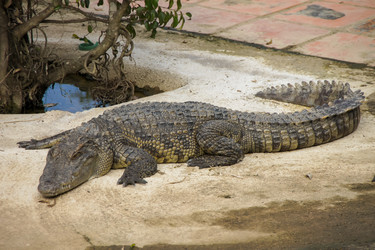 Similar image 21537877