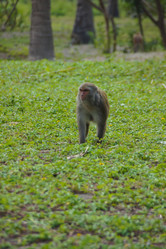 Similar image 21537878