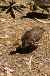 Similar image 21537886