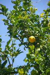 Similar image 21537895