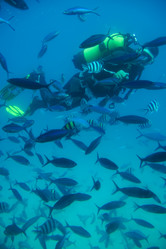 Similar image 21538181