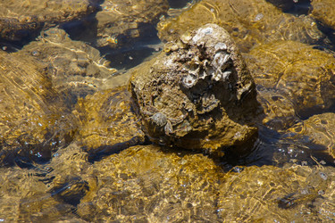 Similar image 21538184