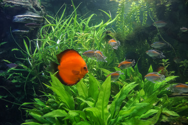 Similar image 21538187