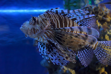 Similar image 21538188