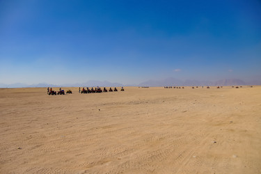 Similar image 21538190