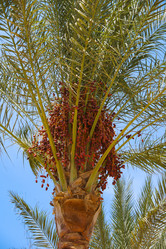 Similar image 21538193