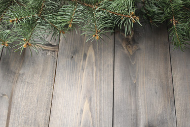 Similar image 21547908