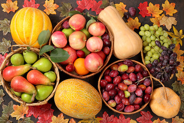 Similar image 21537902