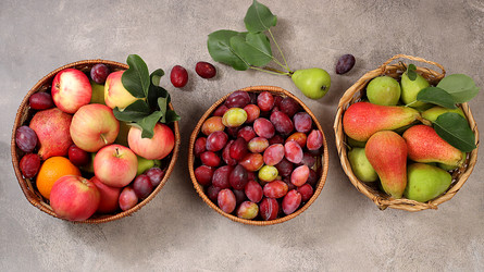 Similar image 21537920