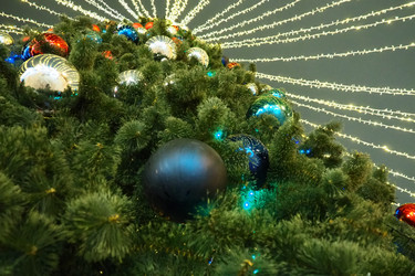 Similar image 21538613