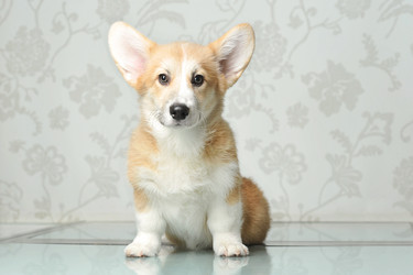 Similar image 21539045