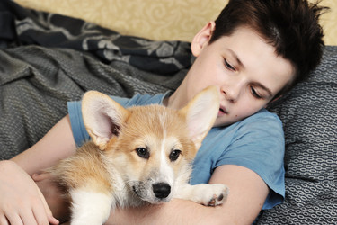 Similar image 21539055