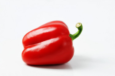 Similar image 21539070