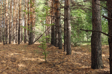 Similar image 21537935