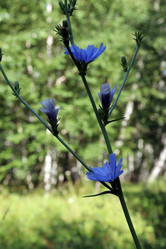 Similar image 21537938