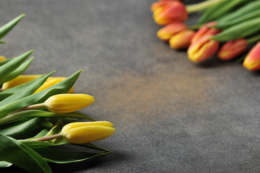 Similar image 21539089