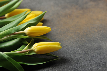 Similar image 21539097