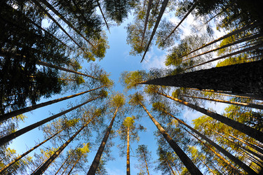 Similar image 21538364