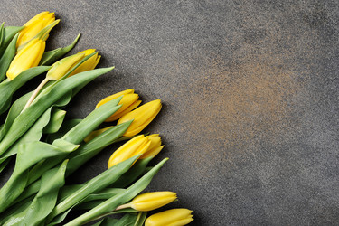 Similar image 21538368