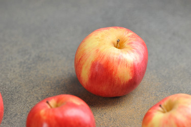 Similar image 21538757