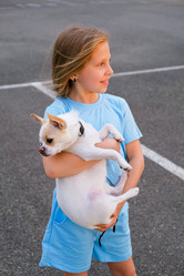 Similar image 21537964