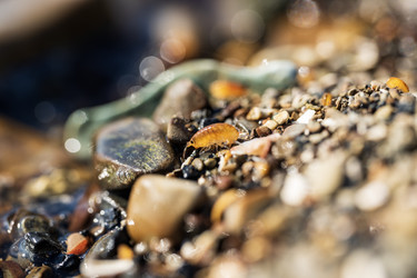 Similar image 21539349