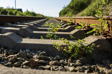 Similar image 21539352