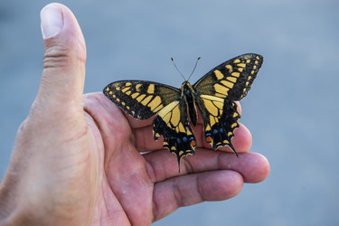 Similar image 21537970