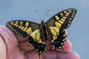 Similar image 21537971