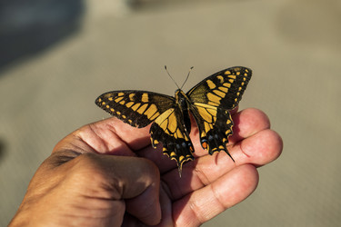 Similar image 21537972