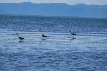 Similar image 21539353