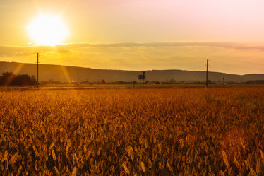 Similar image 21537974