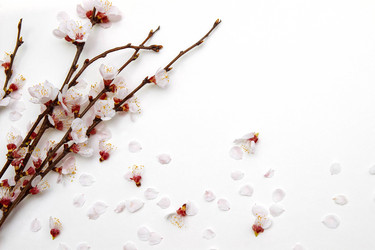 Similar image 21537977