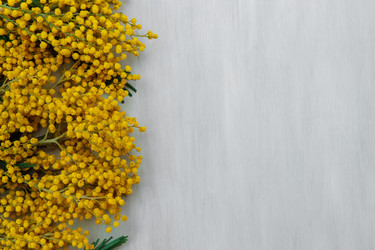 Similar image 21537978