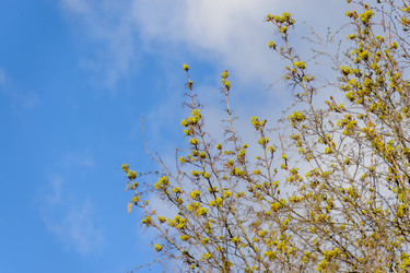 Similar image 21538400