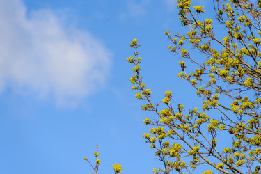 Similar image 21538402