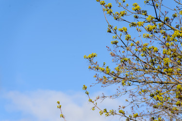 Similar image 21538403