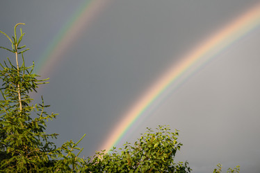 Similar image 21538424